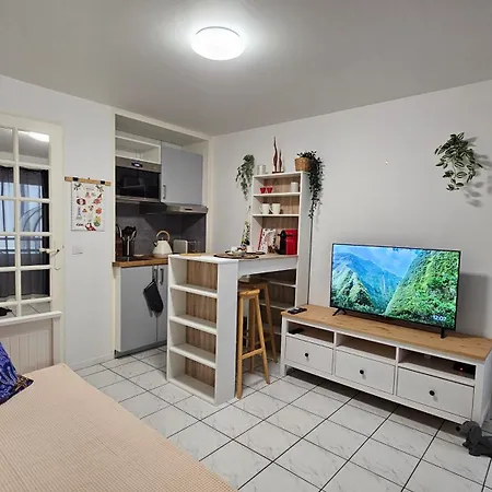 Le Vieux Marche - Cosy Et Central Apartment